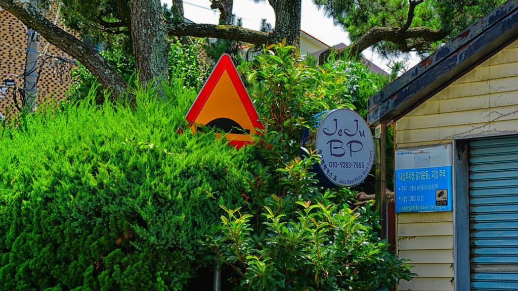 Jeju B.P. Guesthouse Kültér fotó